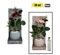 Diffuser flower pot rose 30cm